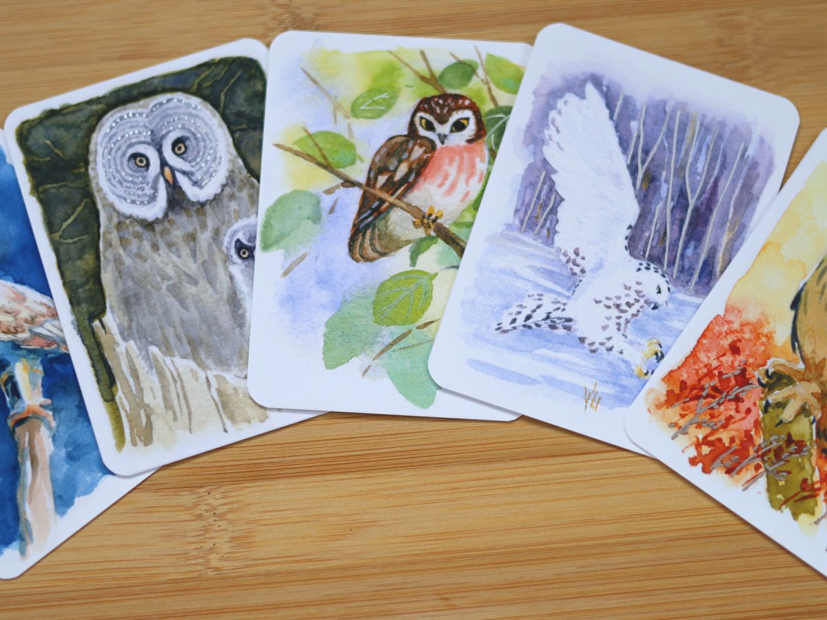 A Parliament of&nbsp;Owls